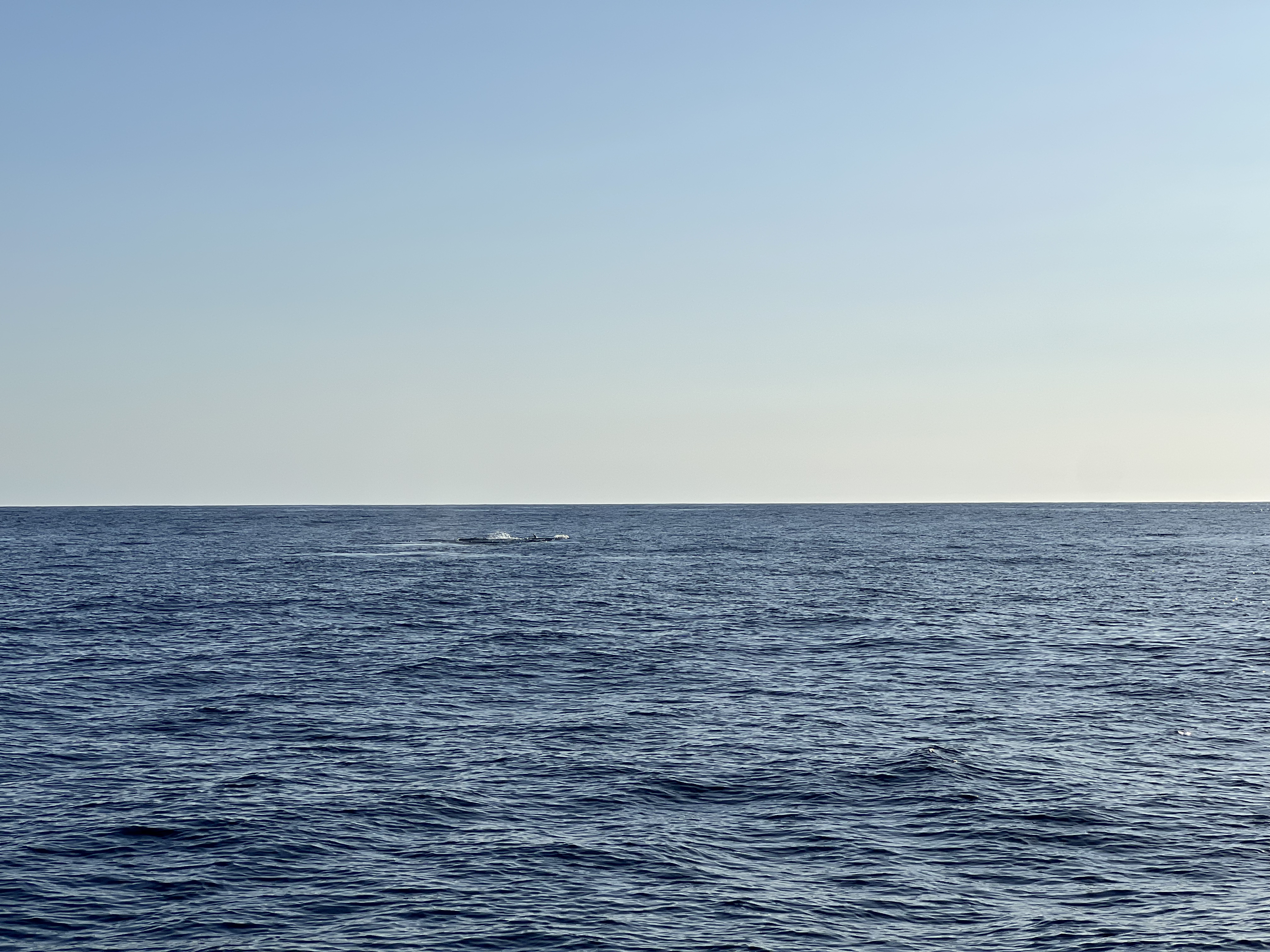 ./2024/13 - Cabo/IMG_4674.jpg